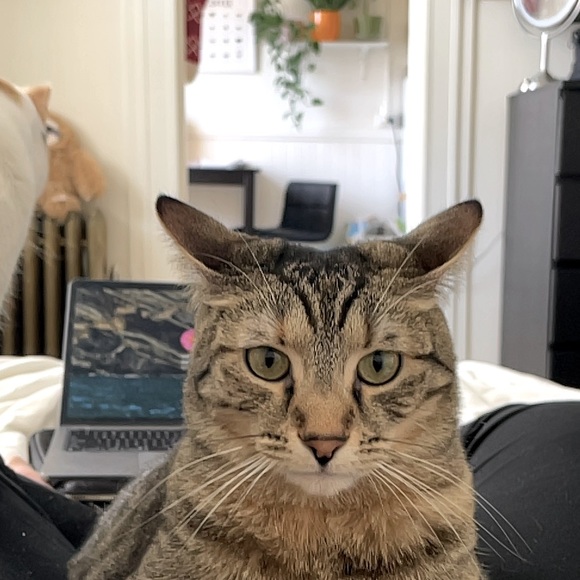 Meet your Posher, Nicholas - Picture 6 of 7